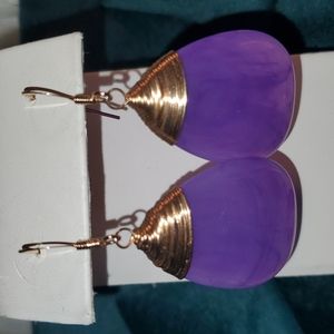 Dangle Fish Hook Earrings